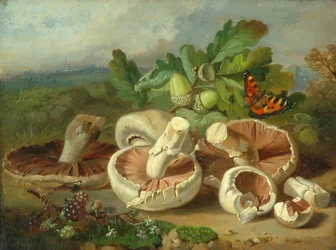 Stilleven met Paddenstoelen enz., 1859